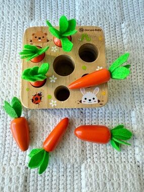 Montessori Wooden Carrot Shape Sorting Puzzle